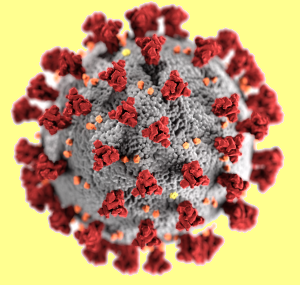 3D-Grafik eines SARS-CoV-2-Virions